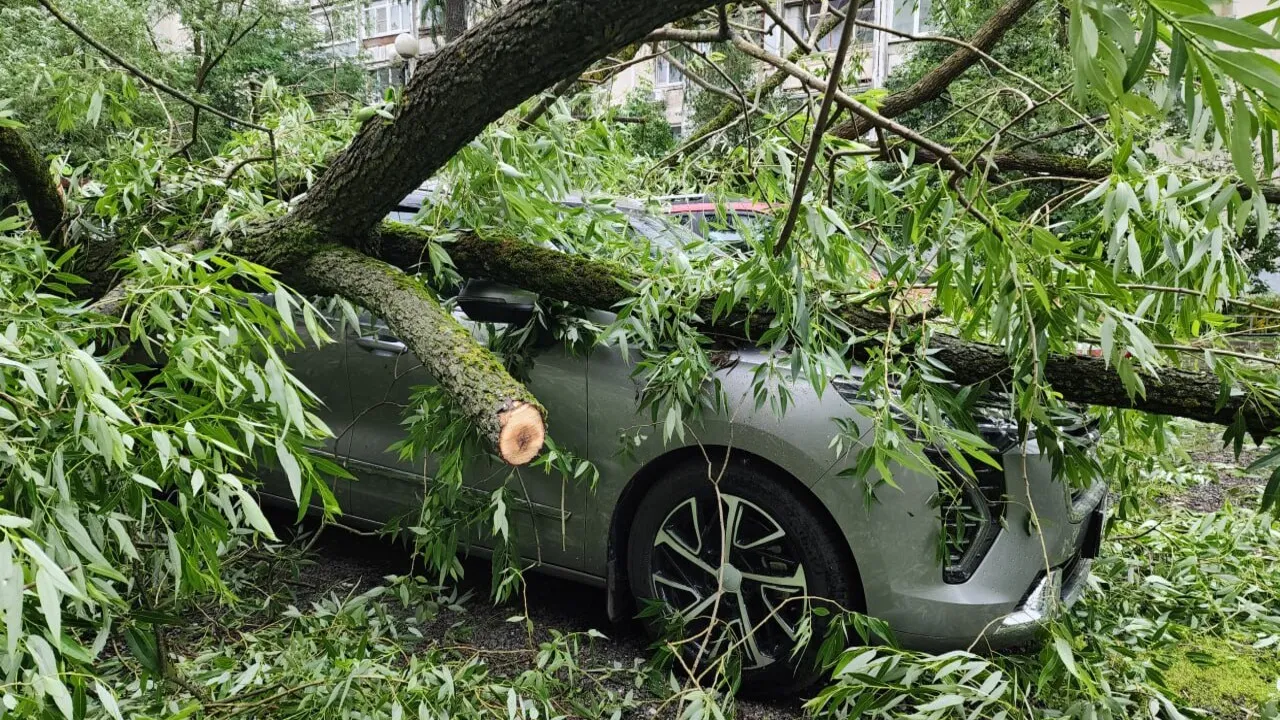 Фото: Артем Мишуков
