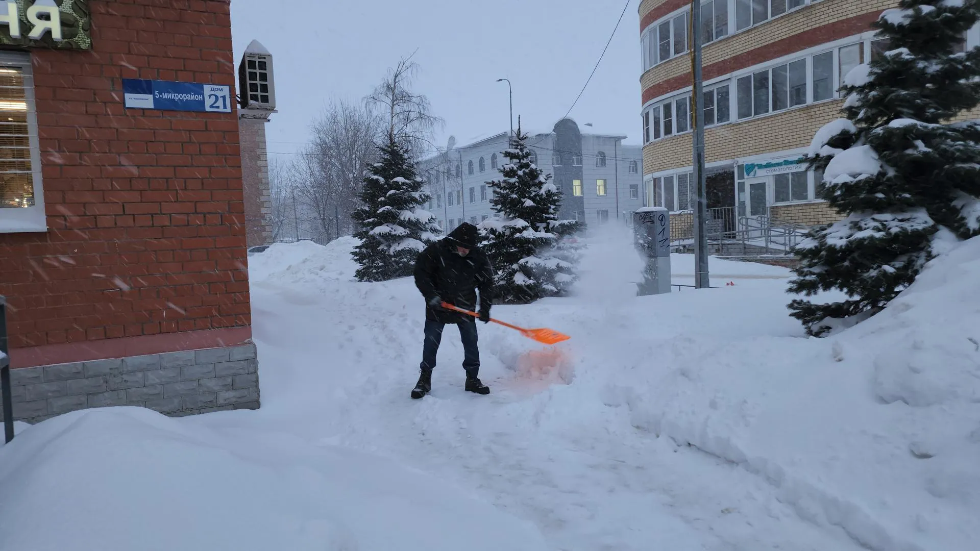 МедиаБанк Подмосковья/Юлия Андросова