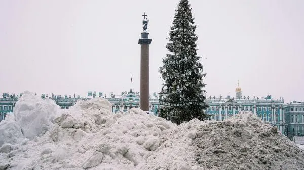 Алексей Даничев / РИА Новости