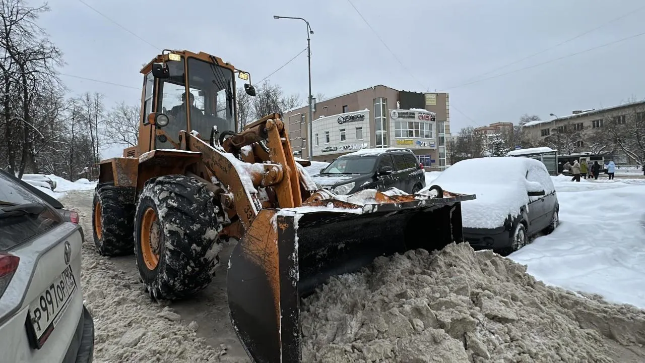 REGIONS/Кристина Тришина