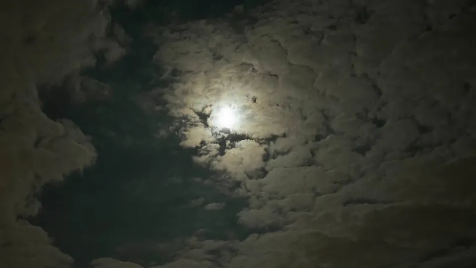 Фото: REGIONS/Евгения Макаренко