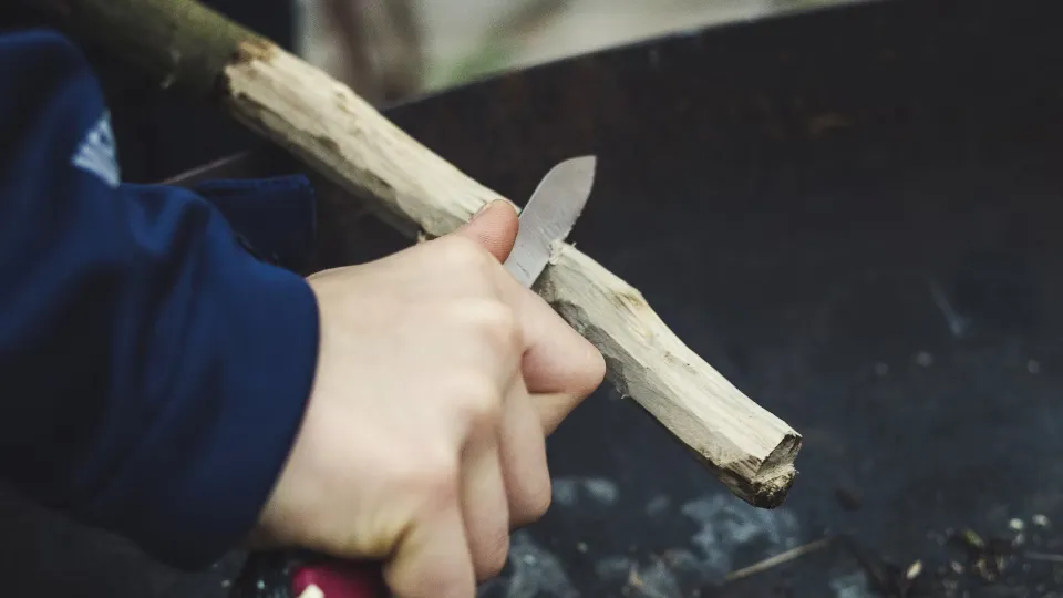 Фото: unsplash.com