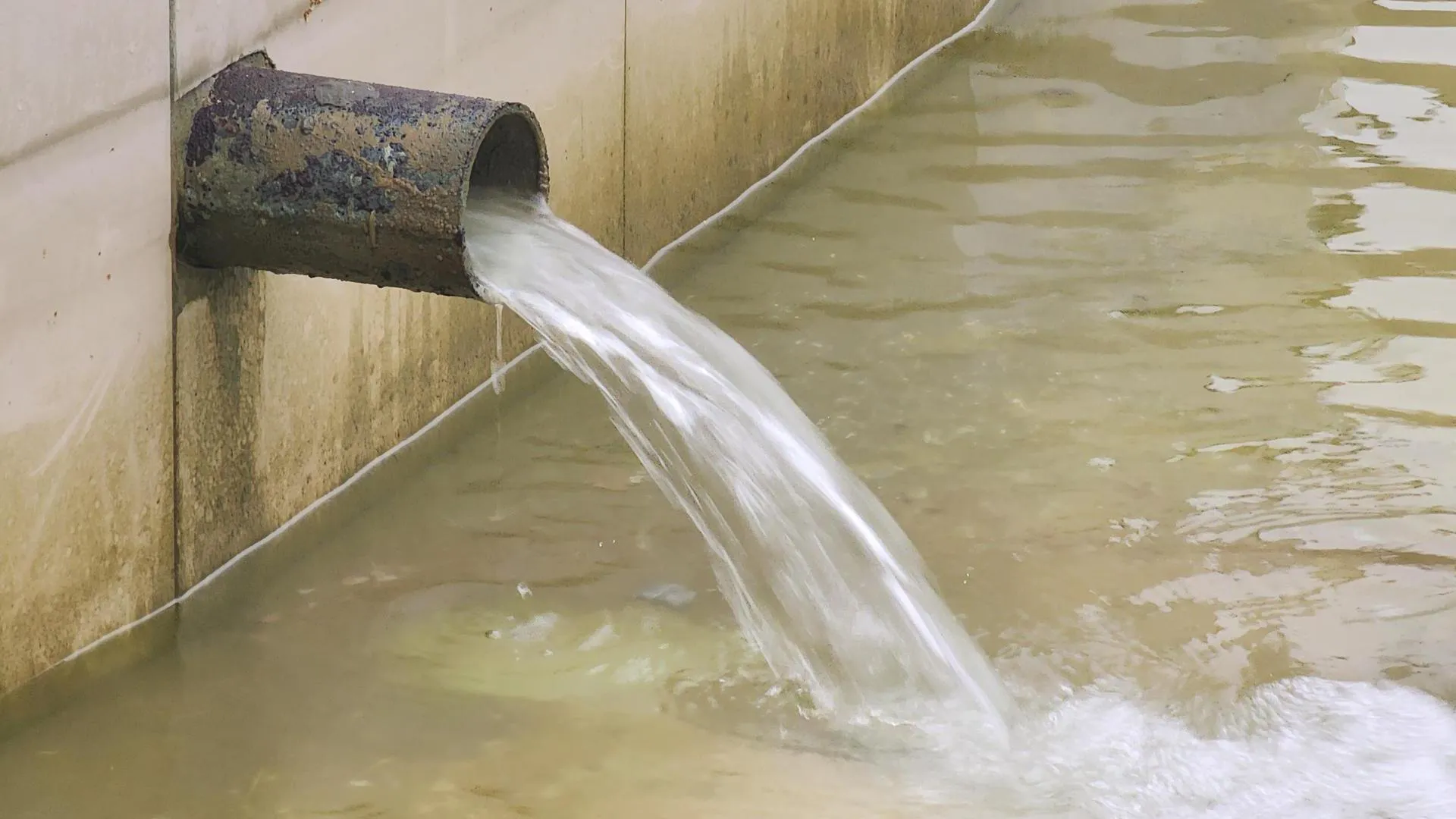 Фото: Роман Савельев