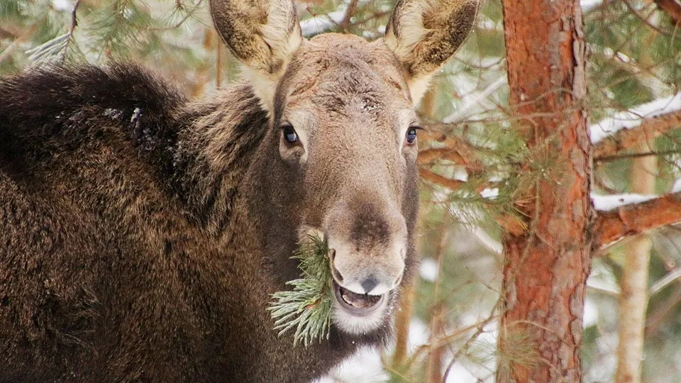 Фото: Ольга Калинина