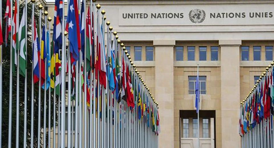 Reuters: Почти никто не читает доклады ООН, говорится в новом докладе ООН