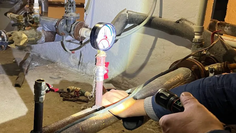 Фото: МедиаБанк Подмосковья/Ксения Афонина