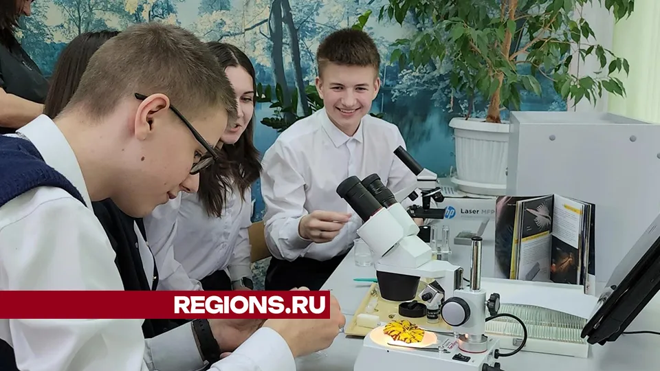 Фото: REGIONS/Александр Степушкин