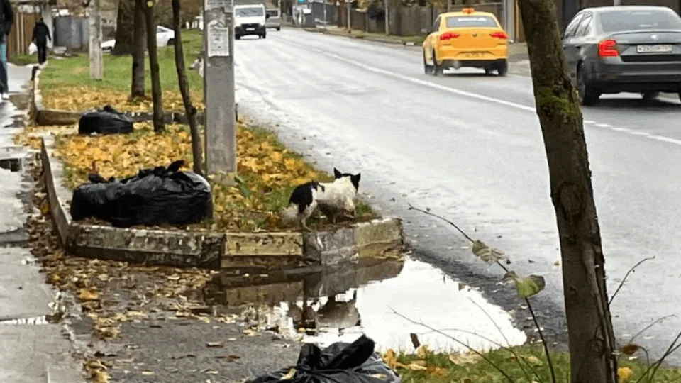 Фото: Ольга Натарова