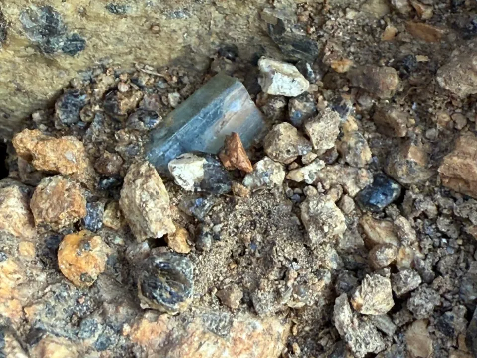 Фото: личный архив Алены Парусовой