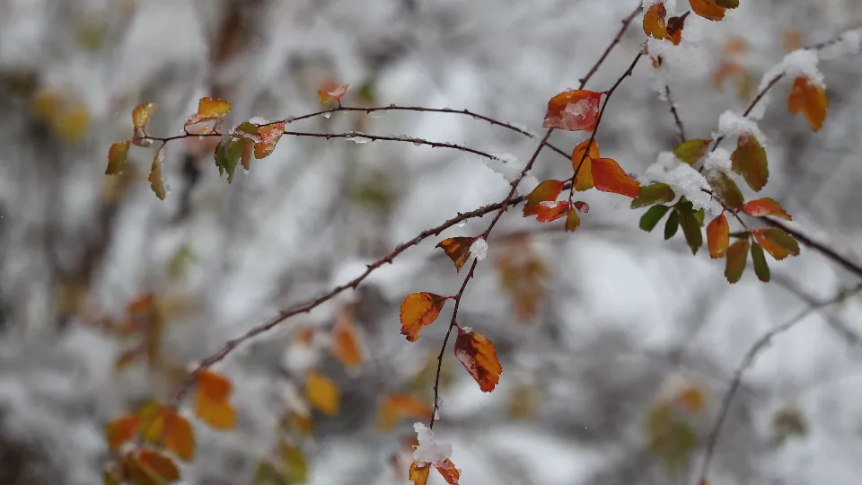 Фото: REGIONS/Ольга Пятикрестовская