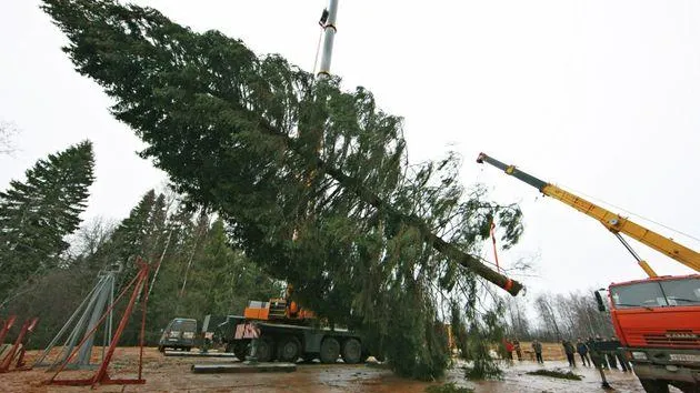 Фото: Антон Денисов