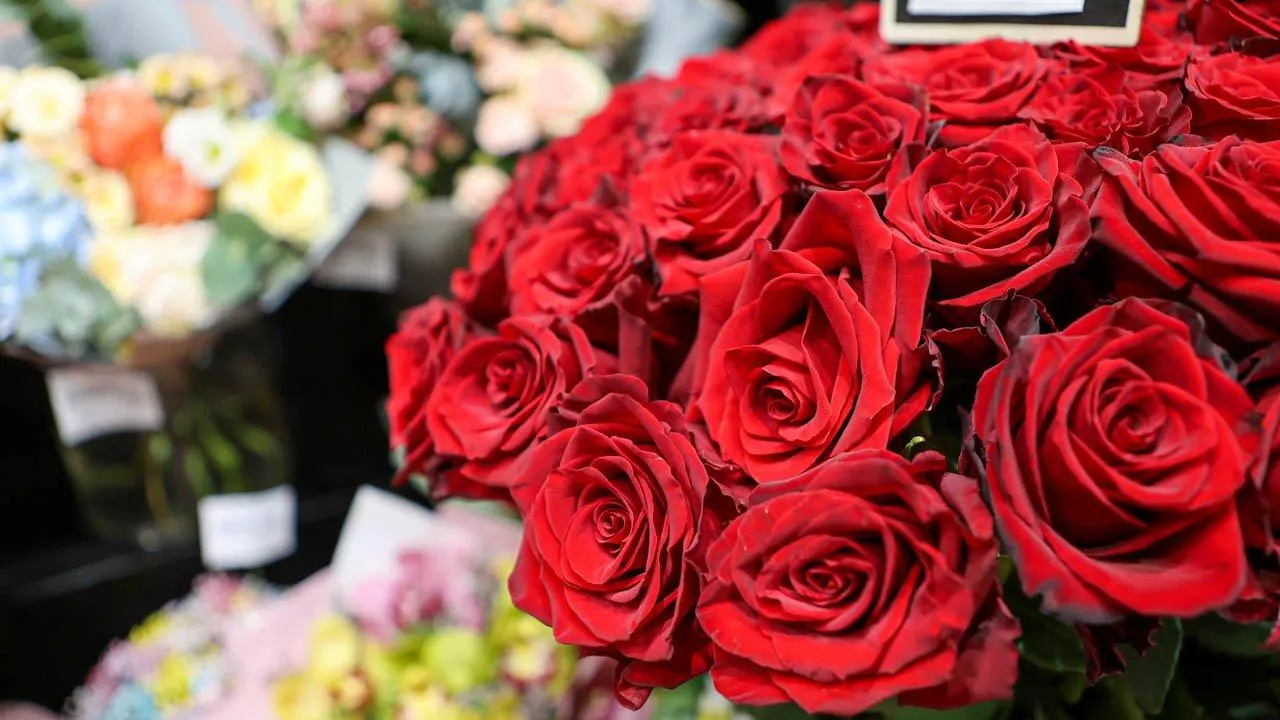 REGIONS/Роман Малышенко