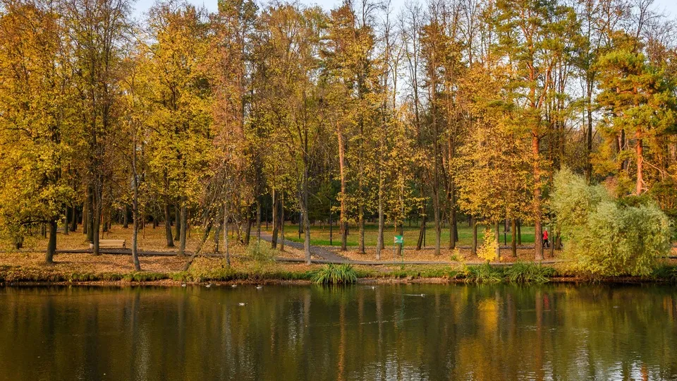 Фото: медиасток.рф