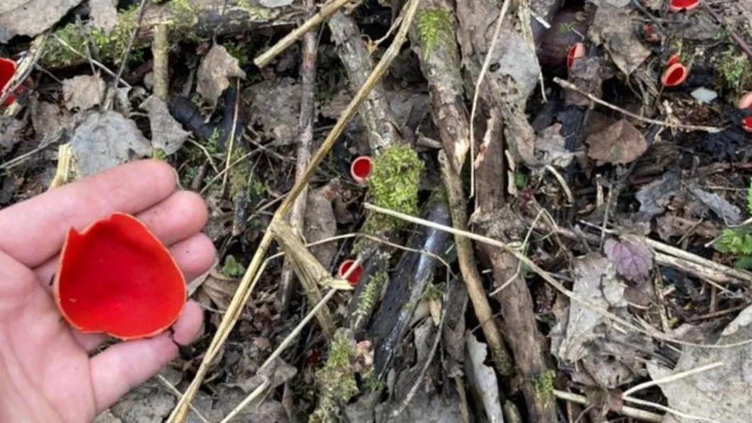 Фото: vk.com/Подслушано | Истра