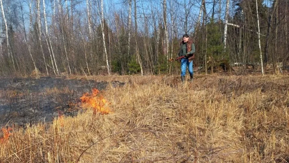 Фото: Комитет лесного хозяйства Московской области