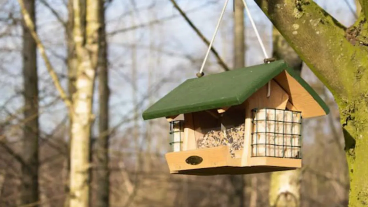 Фото: freepik.com