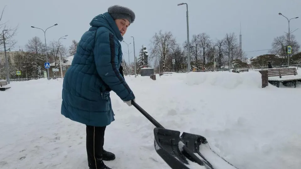 МедиаБанк Подмосковья/Екатерина Данилина