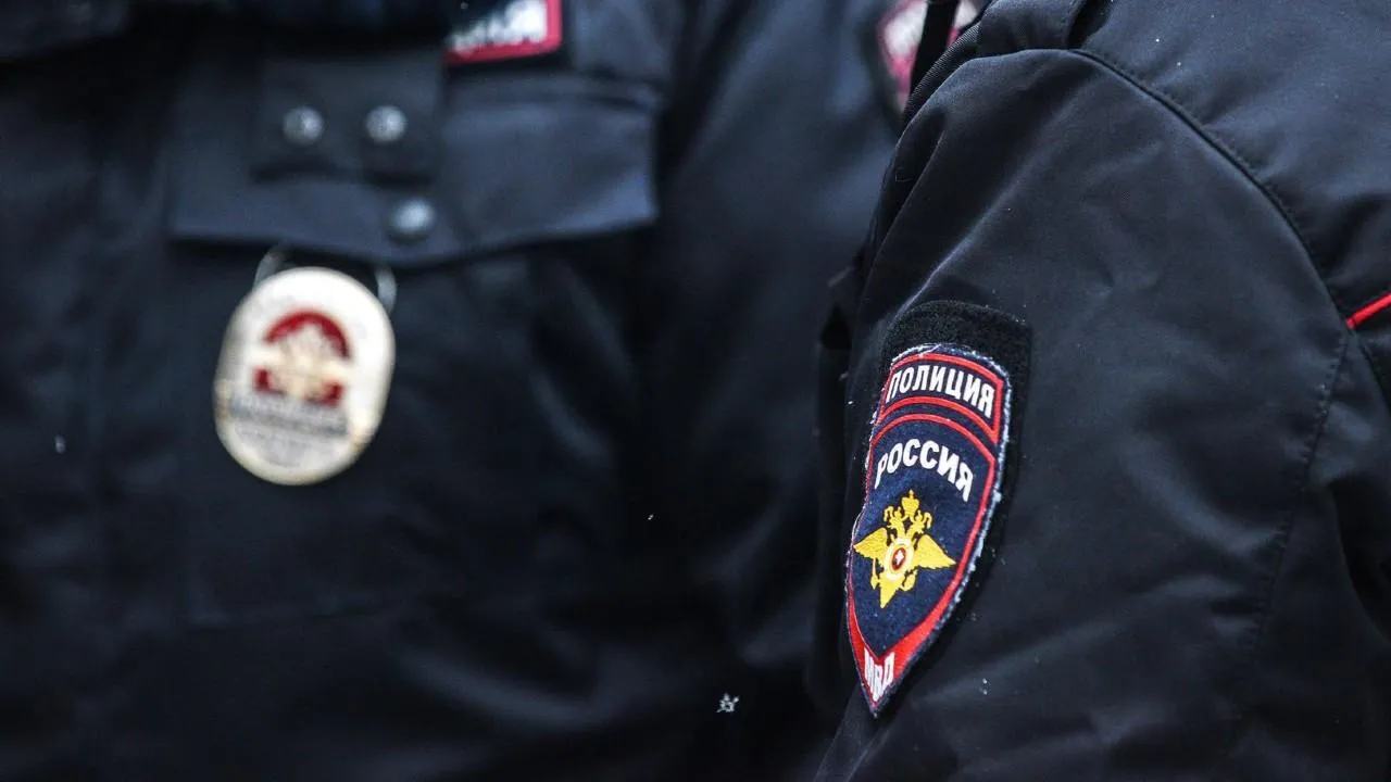 Более 50 кустов конопли обнаружили полицейские у двоих жителей Пушкино