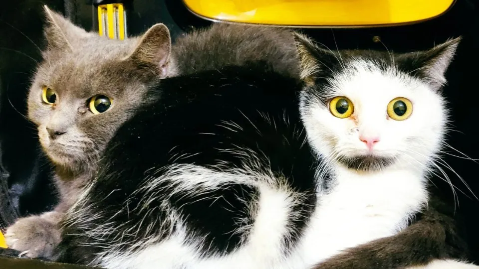 Фото: Мила Сергиенко