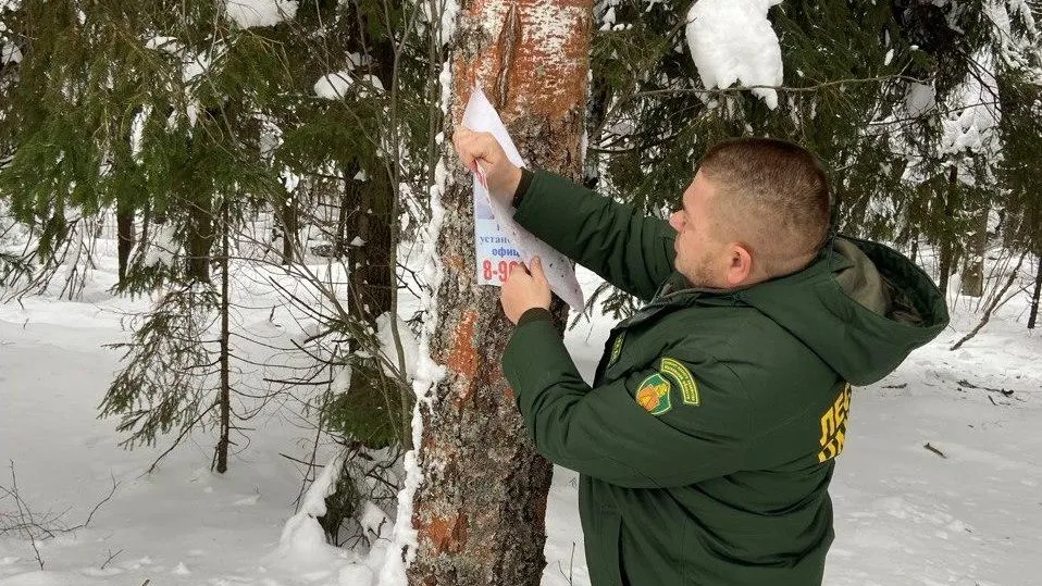 Комитет лесного хозяйства Московской области