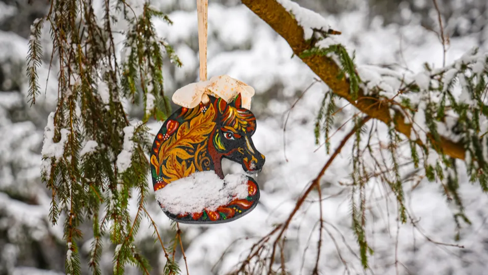 Фото: МедиаБанк Подмосковья/Данила Кирьянов