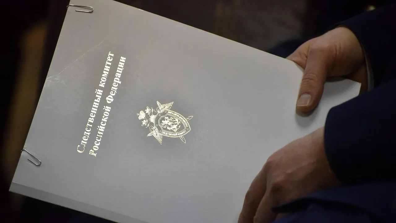 Глава СК поручил возбудить дело по факту мошенничества в отношении многодетной матери в Ногинске