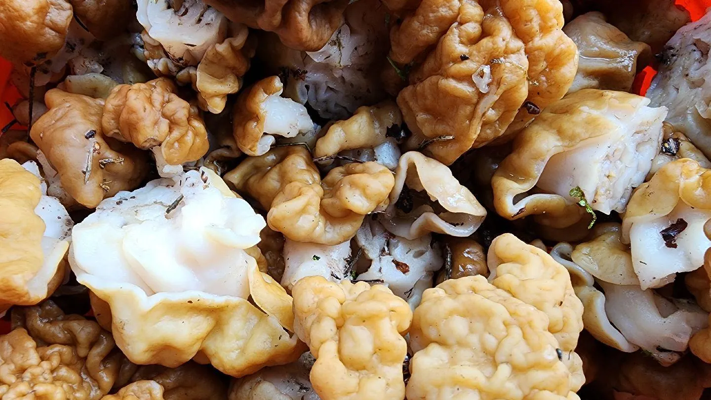 МедиаБанк Подмосковья/Ксения Пашуто