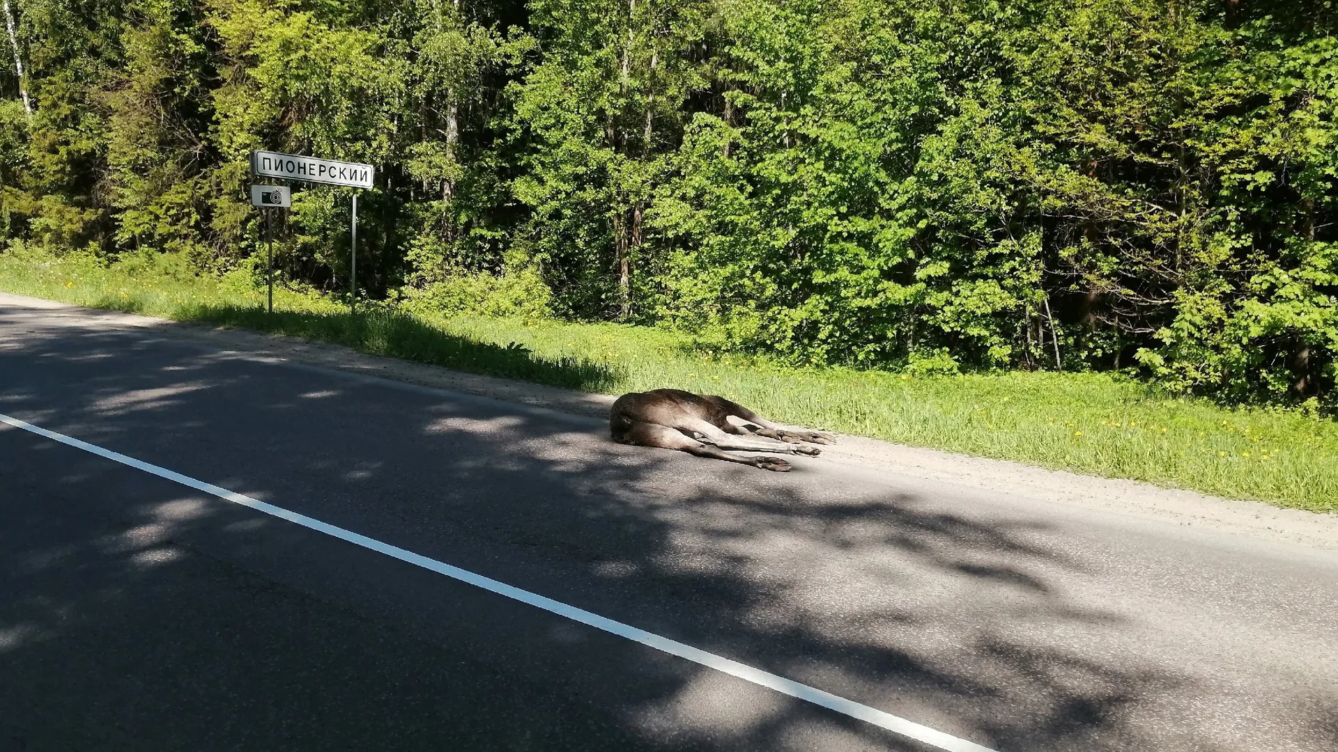 Фото: vk.com/Автолюбители г. Истра