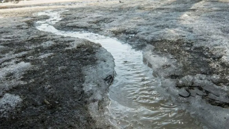 Компанию в Раменском округе оштрафовали за загрязнение вод неочищенными стоками