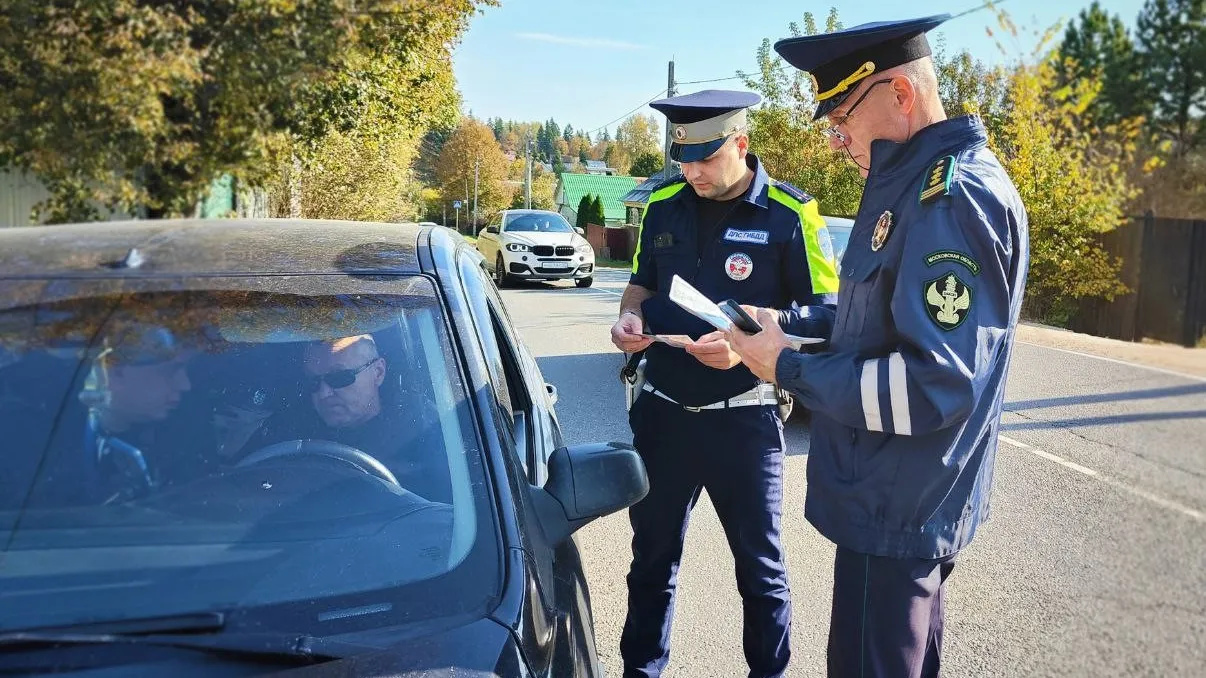 Фото: t.me/ruza_police