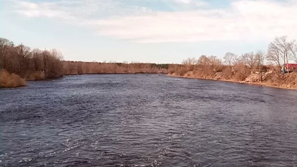 Фото: администрация Орехово-Зуевского округа