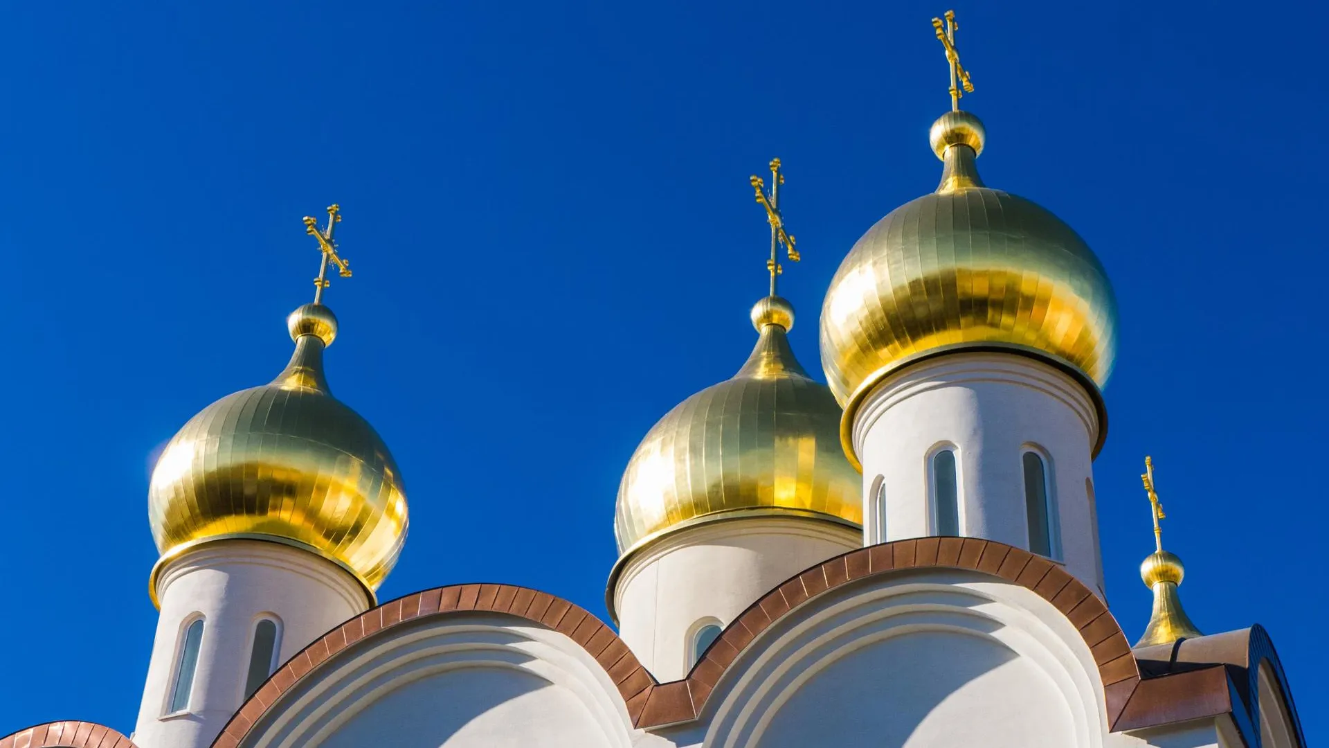 РПЦ просит приравнять священников в зоне СВО в социальных правах к военным