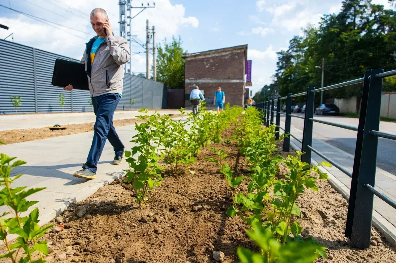 Фото: Министерство благоустройства Московской области