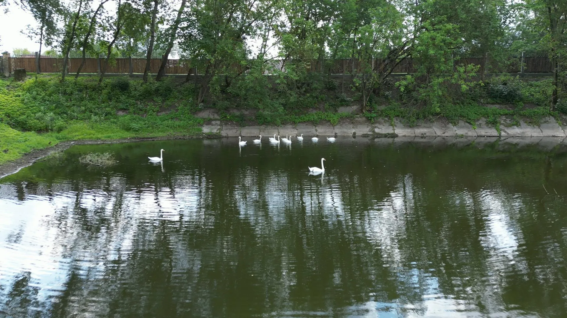 Фото: Дарья Московцева