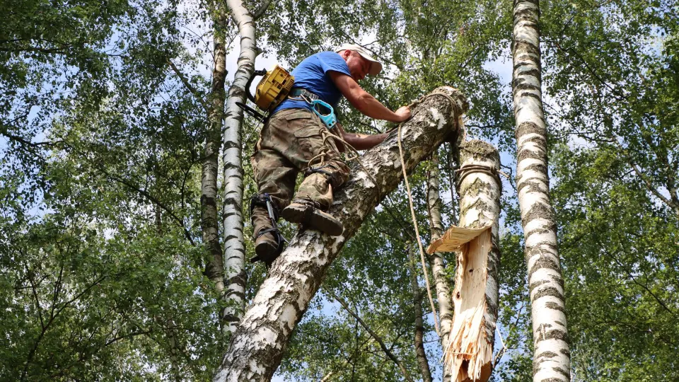 Фото: пресс-служба администрации м.о. Лотошино