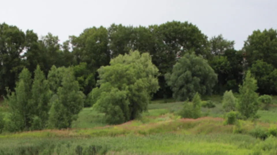 Фото: Комитет по конкурентной политике МО