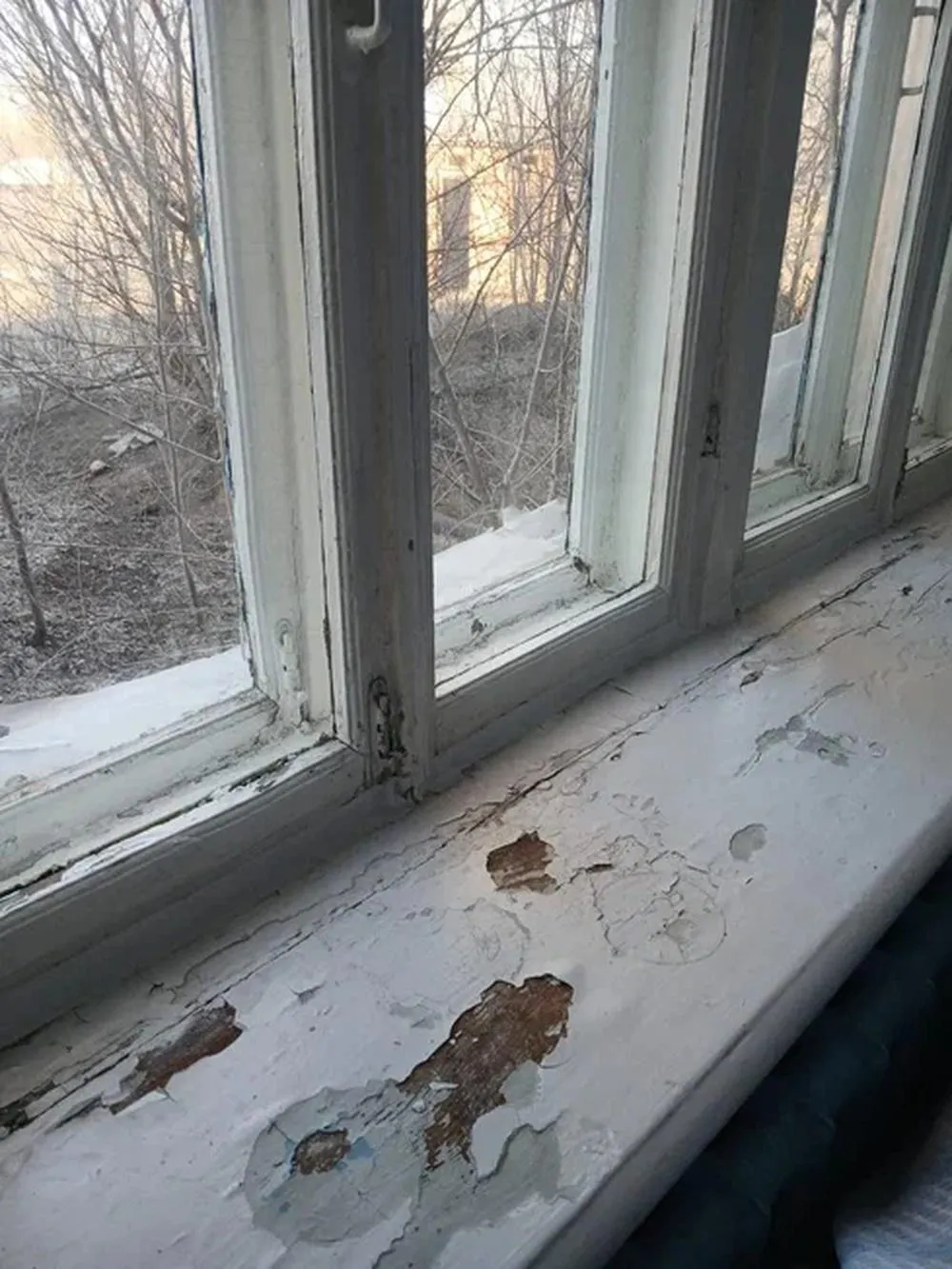 пресс-служба «Народного фронта»