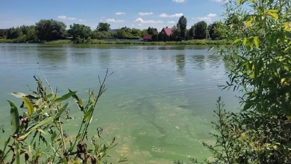 Фото: Минэкологии Московской области