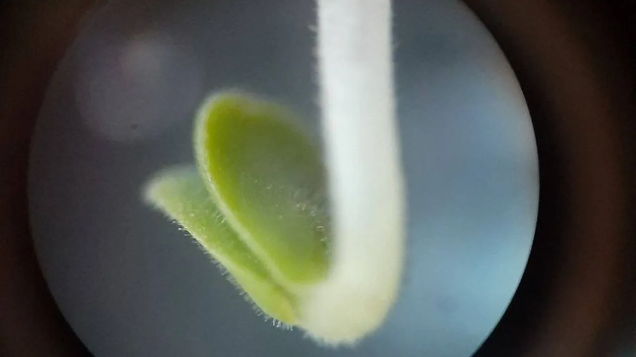 Арт-пространство "Восход"