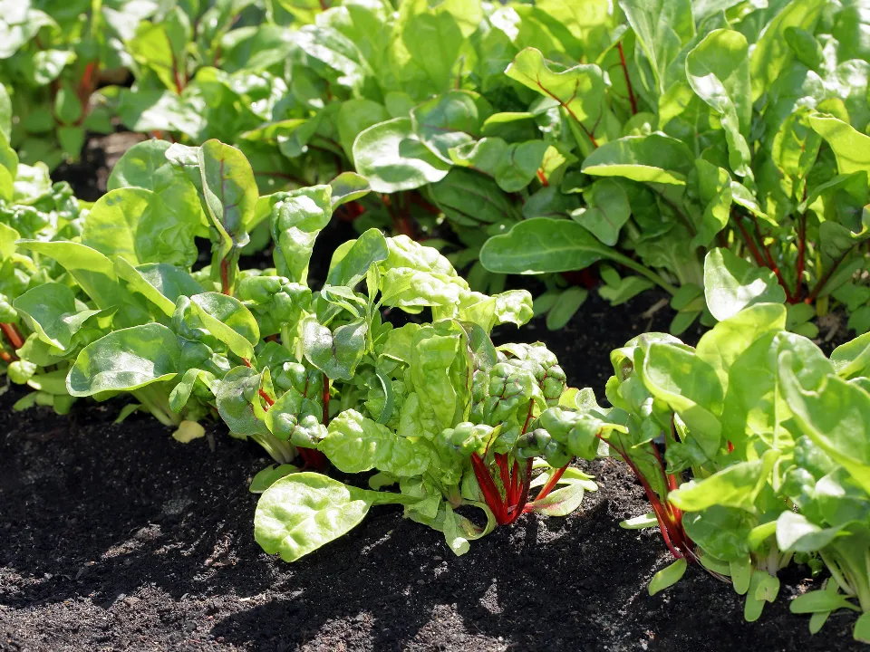 &nbsp; Фото: istockphoto.com