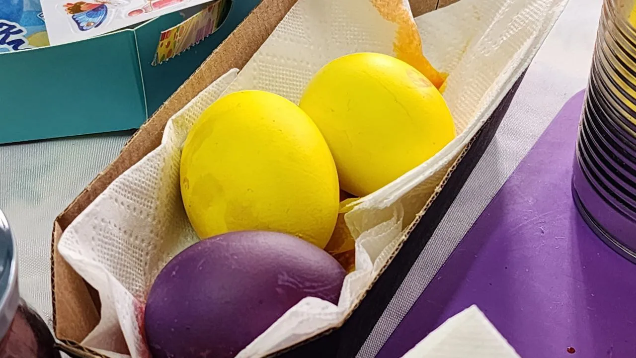 МедиаБанк Подмосковья/Юлия Скавронова