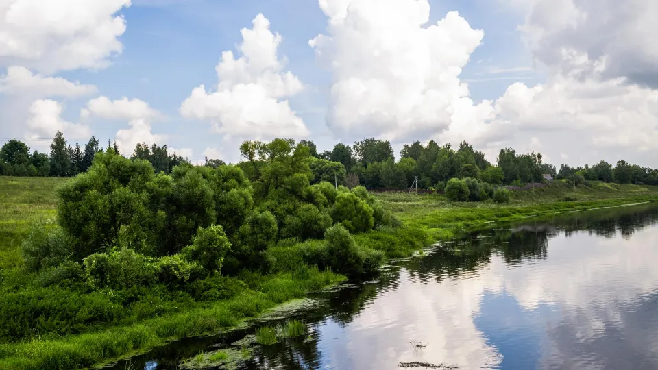 Фото: медиасток.рф