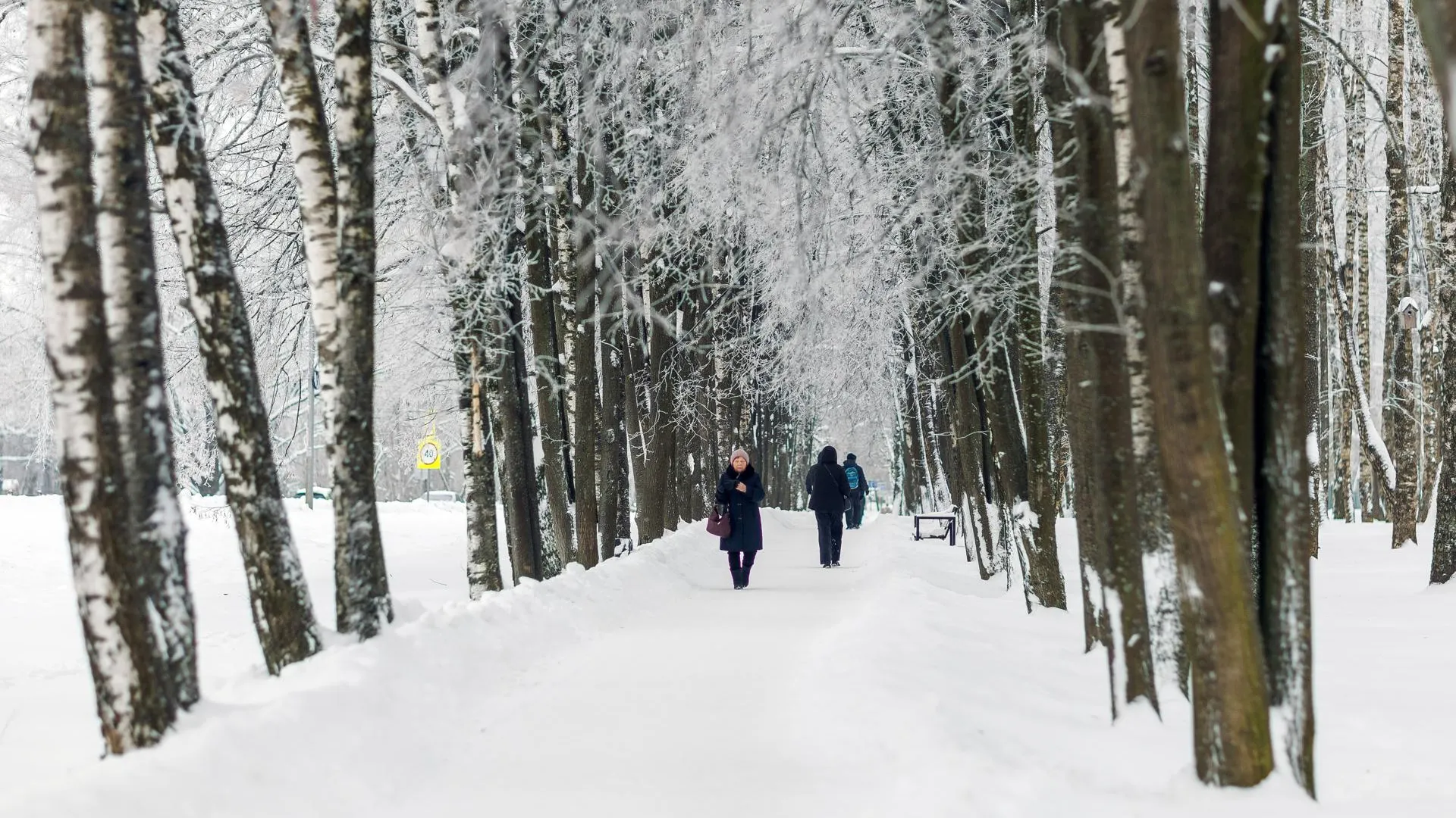 медиасток.рф