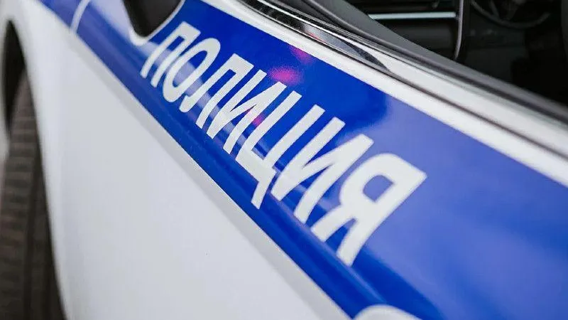 В Дубне арестовали серийную мошенницу