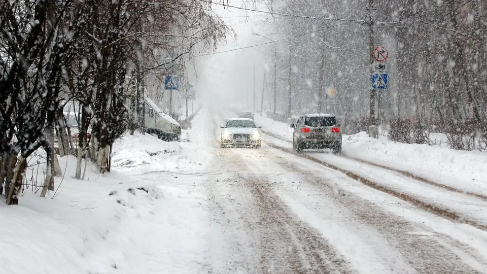 Фото: медиасток.рф