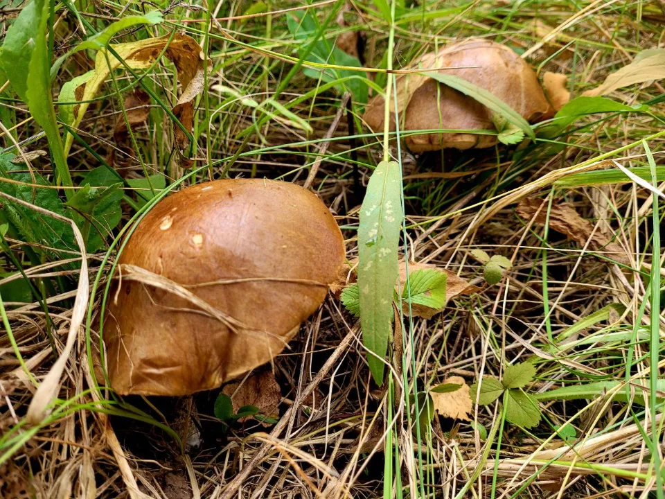 Фото: REGIONS/Анна Иванова