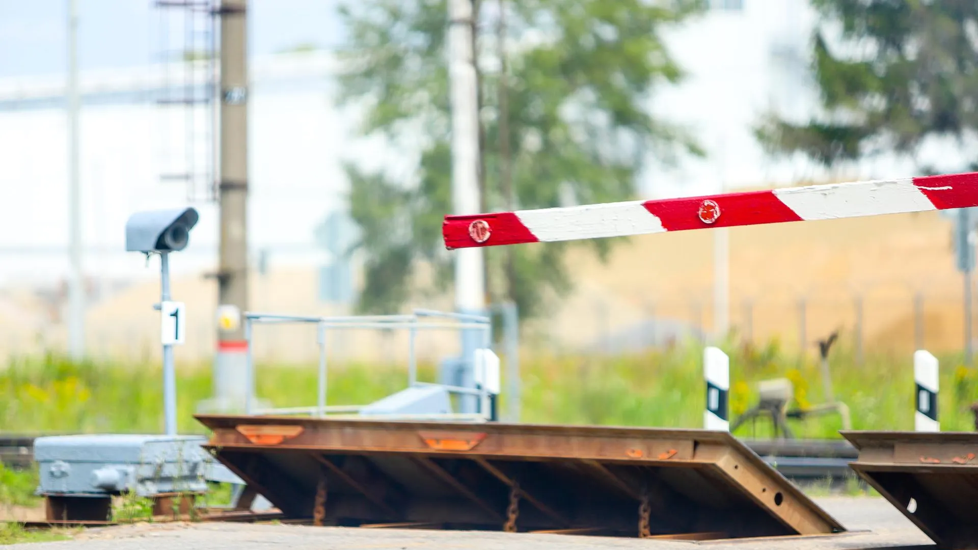 Виталий Ватулин