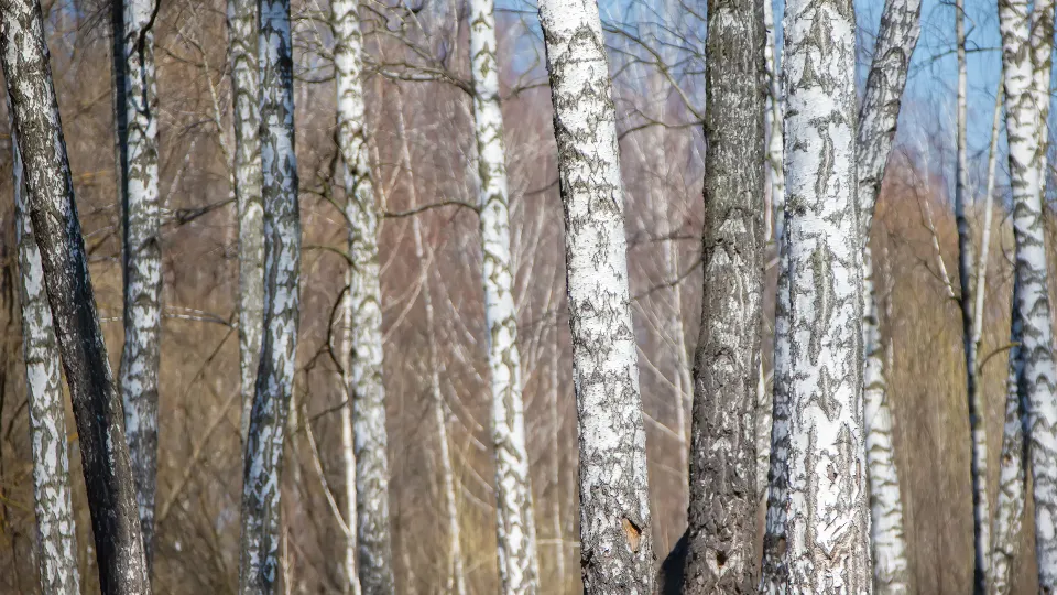 Фото: istockphoto.com