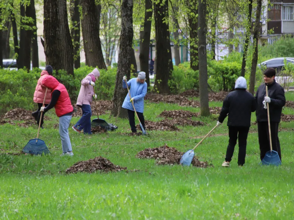 Фото: пресс-служба администрации г.о. Воскресенск&nbsp;