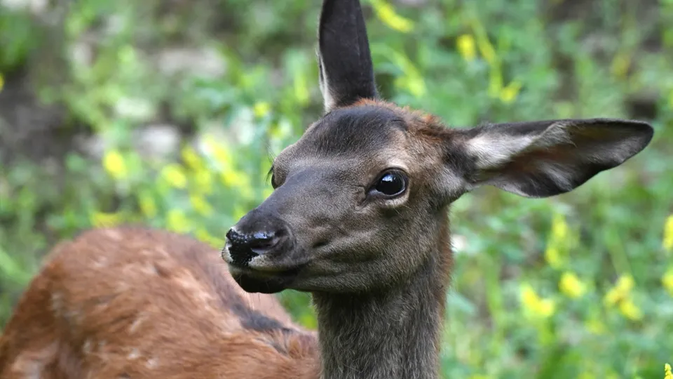 Фото: РИА Новости/Илья Наймушин